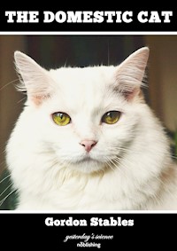 The Domestic Cat - Gordon Stables - ebook