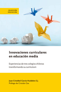 Innovaciones curriculares en educación media - Juan Cristóbal García-Huidobro - ebook