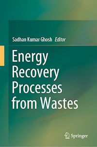 Energy Recovery Processes from Wastes -  - ebook