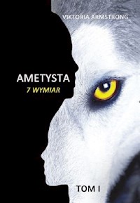 Ametysta 7 wymiar Tom 1 - Viktoria Armstrong - książka