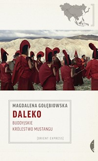 Daleko - Magdalena Gołębiowska - książka