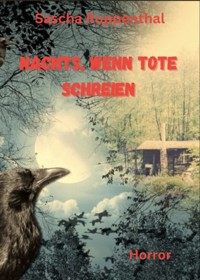 Nachts wenn Tode schreien - Sascha Ruppenthal - ebook