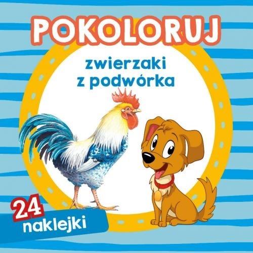 Pokoloruj zwierzaki z podwórka - Dorota Krassowska, Andrzej Kłapyta - książka