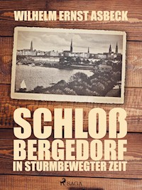 Schloss Bergedorf in sturmbewegter Zeit - Wilhelm Ernst Asbeck - ebook