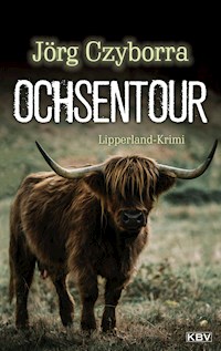 Ochsentour - Jörg Czyborra - ebook