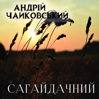 Сагайдачний: Книги українською, українська література - Андрій Чайковський - audiobook
