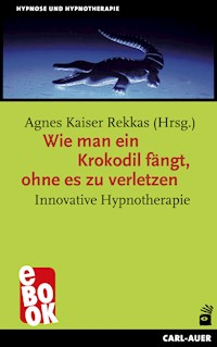 Wie man ein Krokodil fängt, ohne es zu verletzen - Agnes Kaiser Rekkas - ebook