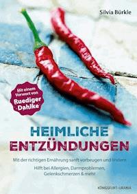 Heimliche Entzündungen - Silvia Bürkle - ebook