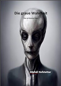 Die graue Wahrheit - Michel Hofstetter - ebook