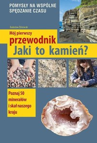 Mój pierwszy przewodnik. Jaki to kamień? - Radosław Żbikowski - książka