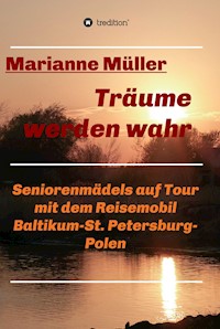 Träume werden wahr, Band 2 - Marianne Müller - ebook