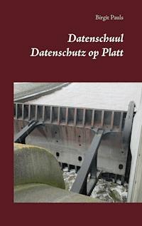 Datenschuul - Birgit Pauls - ebook