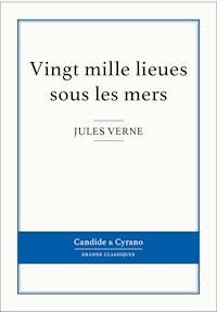 Vingt mille lieues sous les mers - Jules Verne - ebook