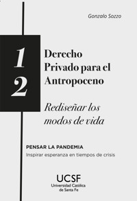 Derecho privado para el antropoceno - Gonzalo Sozzo - ebook