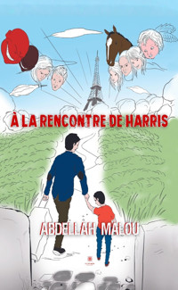 Une étonnante rencontre - Abdellah Harris - ebook
