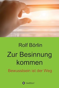 Zur Besinnung kommen - Rolf Börlin - ebook
