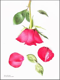 Ein zerrissenes Leben - Benno Wunder - ebook