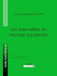 Les merveilles du monde souterrain - Louis-Laurent Simonin - ebook