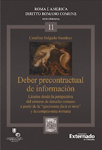 Deber precontractual de información - Catalina Salgado - ebook