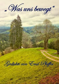 Was uns bewegt - Emil Pfeiffer - ebook