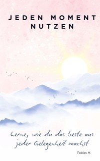 Jeden Moment nutzen - Tobias Hopfmüller - ebook