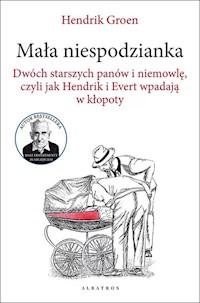 Mała niespodzianka - Hendrik Groen - książka