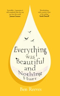 Everything was Beautiful and Nothing Hurt - Ben Reeves - ebook
