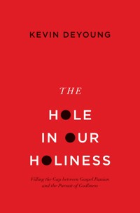 The Hole in Our Holiness - Kevin DeYoung - ebook