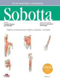 Tablice anatomiczne mięśni, stawów i nerwów. Łacińskie mianownictwo - F. Paulsen, J. Waschke - książka