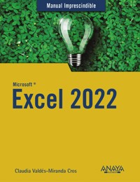 Excel 2022 - Claudia Valdés-Miranda - ebook