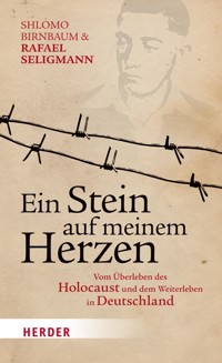 Ein Stein auf meinem Herzen - Shlomo Birnbaum - ebook