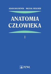 Anatomia człowieka Tom 1 - Bochenek Adam, Reicher Michał - książka