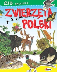 Zwierzęta Polski - Dzwonkowski Robert - książka