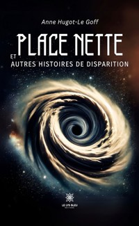 Place nette et autres histoires de disparition - Anne Hugot-Le Goff - ebook
