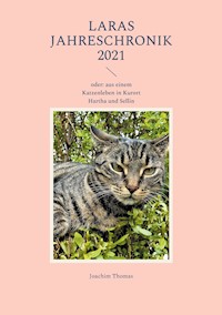 Laras Jahreschronik 2021 - Thomas Joachim - ebook