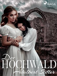 Der Hochwald - Adalbert  Stifter - ebook