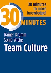 Team Culture - Rainer Krumm - ebook