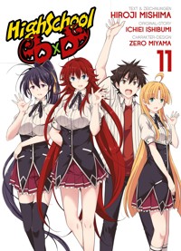HighSchool DxD - Hiroji Mishima - ebook
