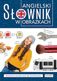 Angielski. Słownik w obrazkach - Frankiewicz Marcin - książka