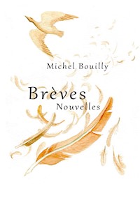Brèves Nouvelles - Michel Bouilly - ebook