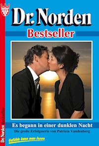 Es begann in einer dunklen Nacht - Vandenberg Patricia - ebook