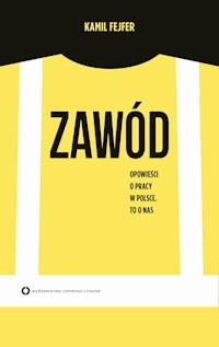 Zawód. Opowieść o pracy w Polsce. To o nas - Kamil Fejfer - ebook