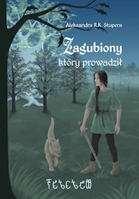 Zagubiony który prowadził - Stupera Aleksandra R. K. - książka
