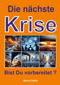 Die nächste Krise - Bernd Höhle-Kleinertz - ebook
