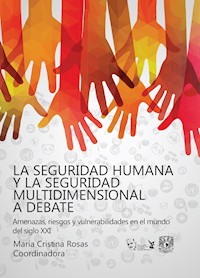 La seguridad humana y la seguridad multidimensional a debate. Vulnerabilidades, riesgos y amenazas en el mundo del siglo XXI - María Cristina Rosas - ebook