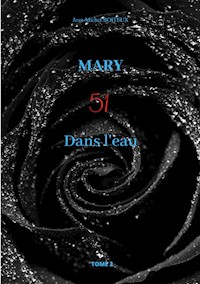 Mary, Tome 2 - Jean-Michel Boiteux - ebook
