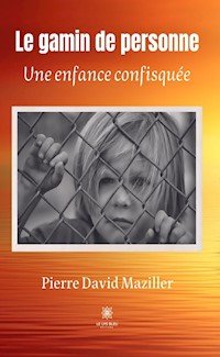 Le gamin de personne - Pierre David Maziller - ebook