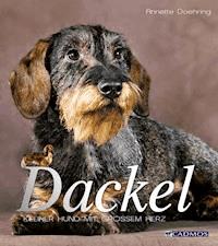 Dackel - Anette Doering - ebook
