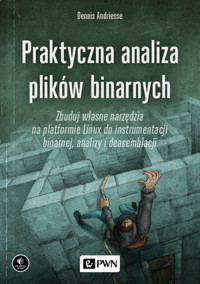 Praktyczna analiza plików binarnych - Dennis Andriesse - książka