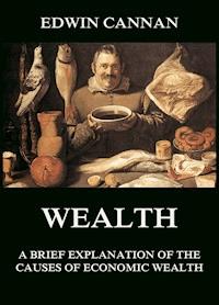 Wealth: A Brief Explanation of the Causes of Economic Wealth - Edwin Cannan - ebook